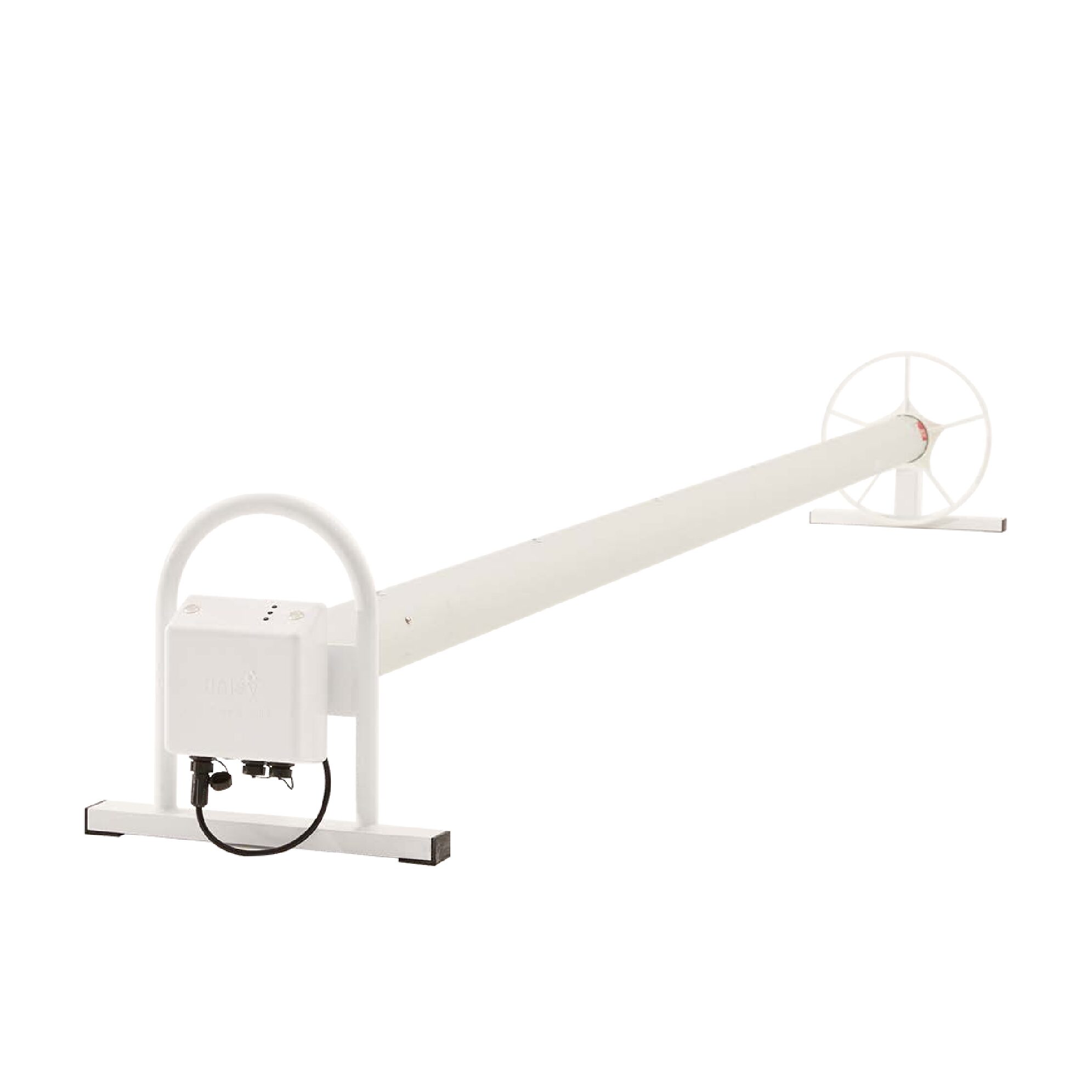 Daisy Power - Squat Profile