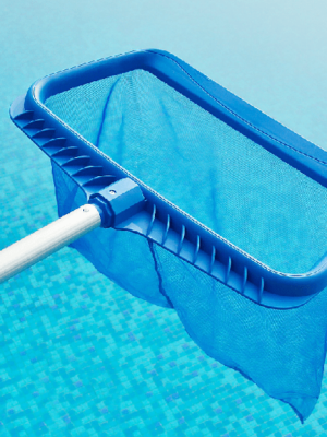 Pool Leaf Scoop from daisy.